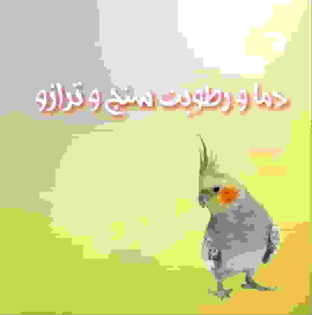 دما و رطوبت سنج و ترازو 