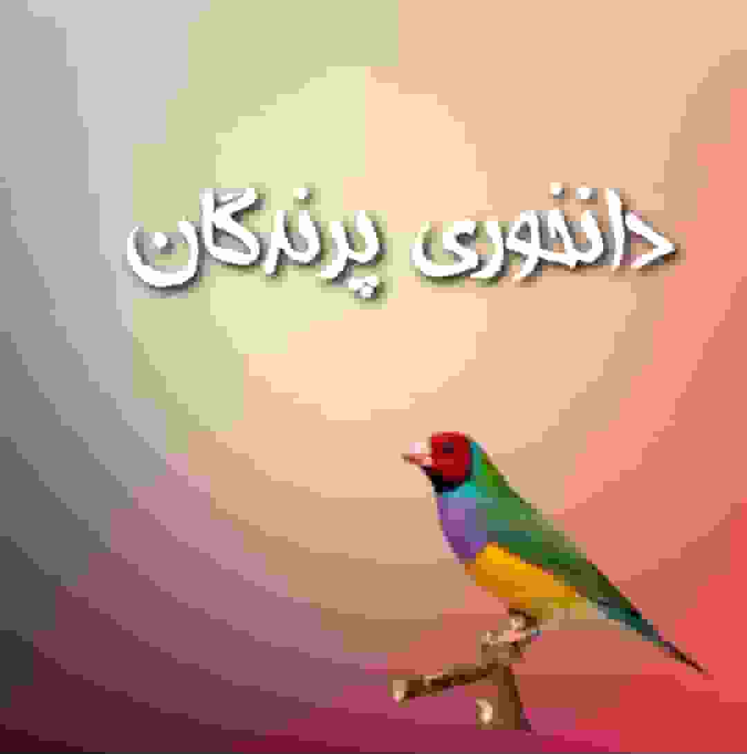 دانخوری 